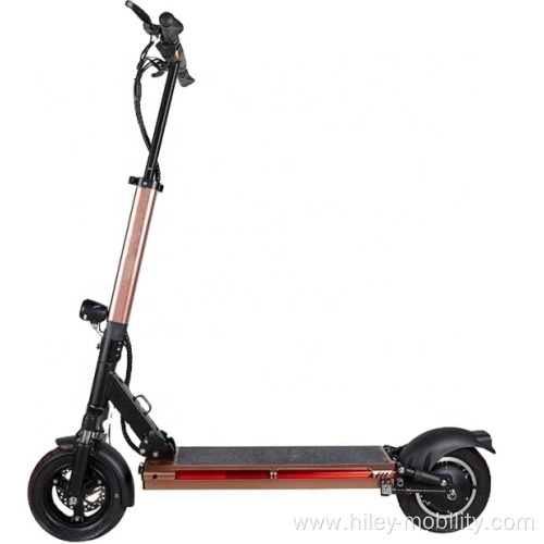 Adult Self Balance Folding Electric Scooter